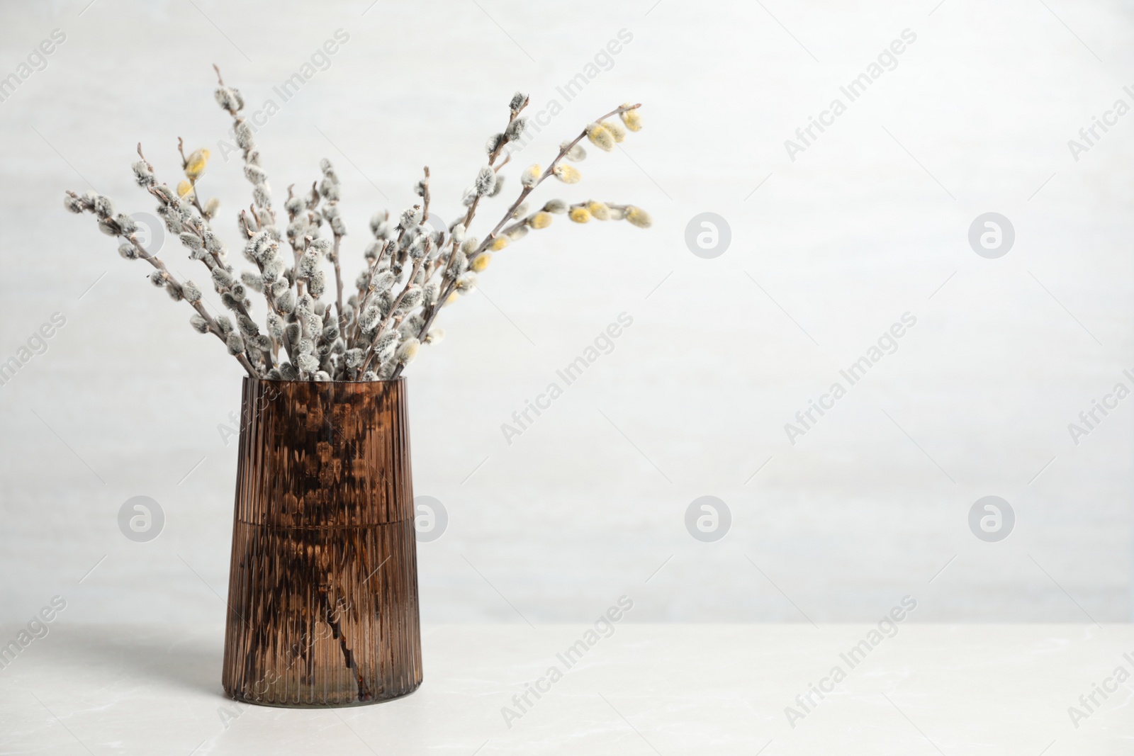 Photo of Beautiful pussy willow branches in glass vase on white table, space for text