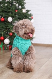 Cute Toy Poodle dog in knitted sweater and Christmas tree indoors