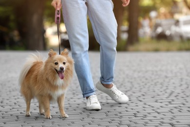 Photo of Woman with her cute dog walking on city street. closeup