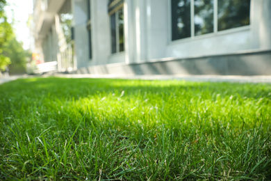 Photo of Fresh green grass outdoors on sunny day