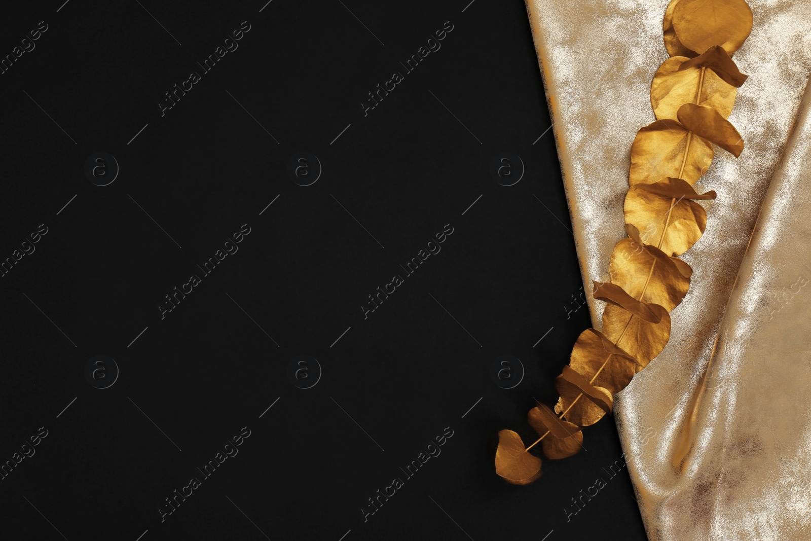 Photo of Gold painted eucalyptus branch and fabric on black background, top view with space for text