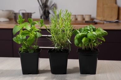 Photo of Pots with basil, mint and rosemary on white wooden table in kitchen