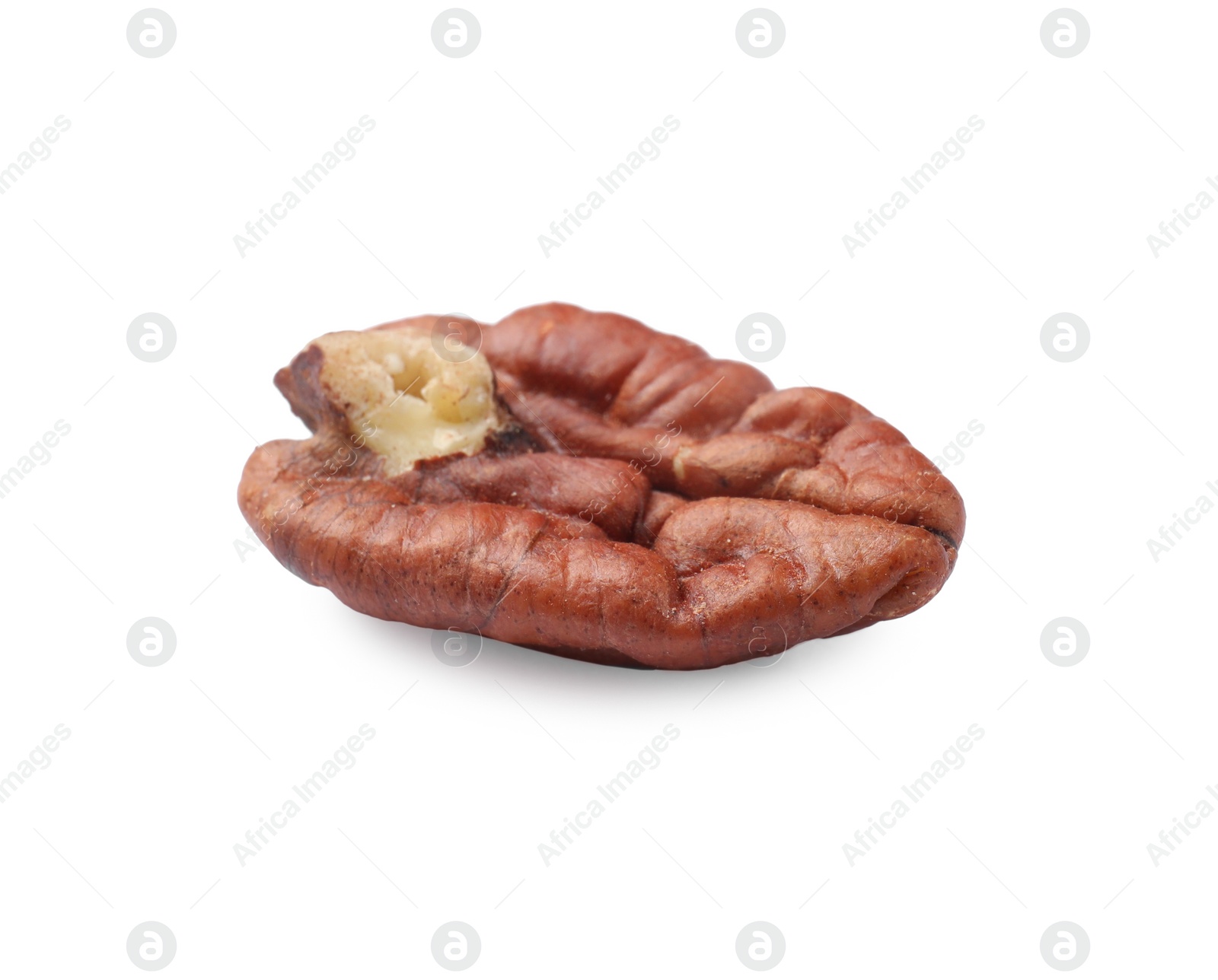 Photo of One tasty pecan nut isolated on white