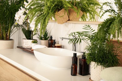 Counter with sink and many different houseplants near white marble wall