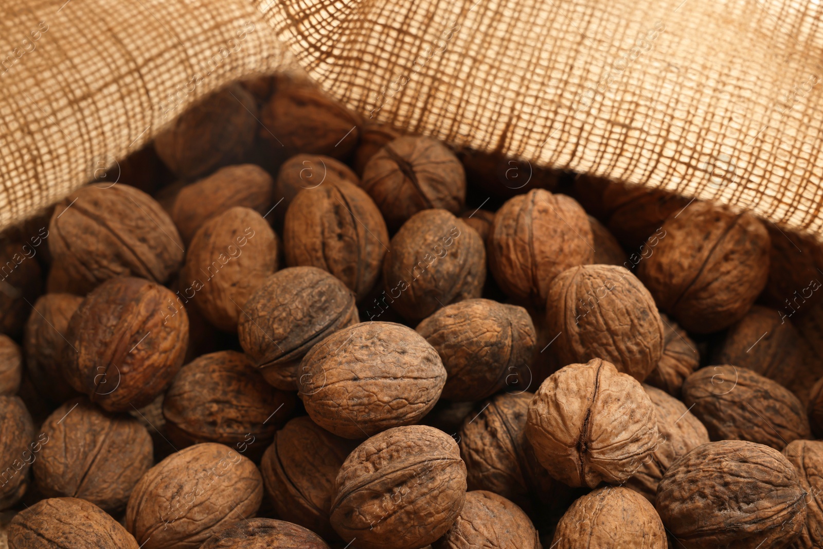 Photo of Many walnuts on burlap fabric, closeup view