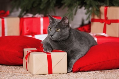Photo of Cute cat with gift box on pillows at home