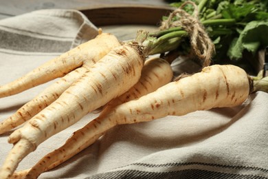 Photo of Delicious fresh ripe parsnips on kitchen towel, closeup