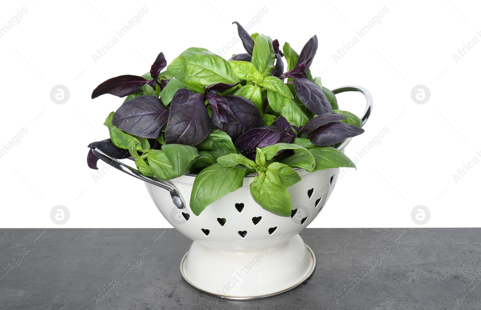 Photo of Colander with fresh basil leaves on grey table against white background