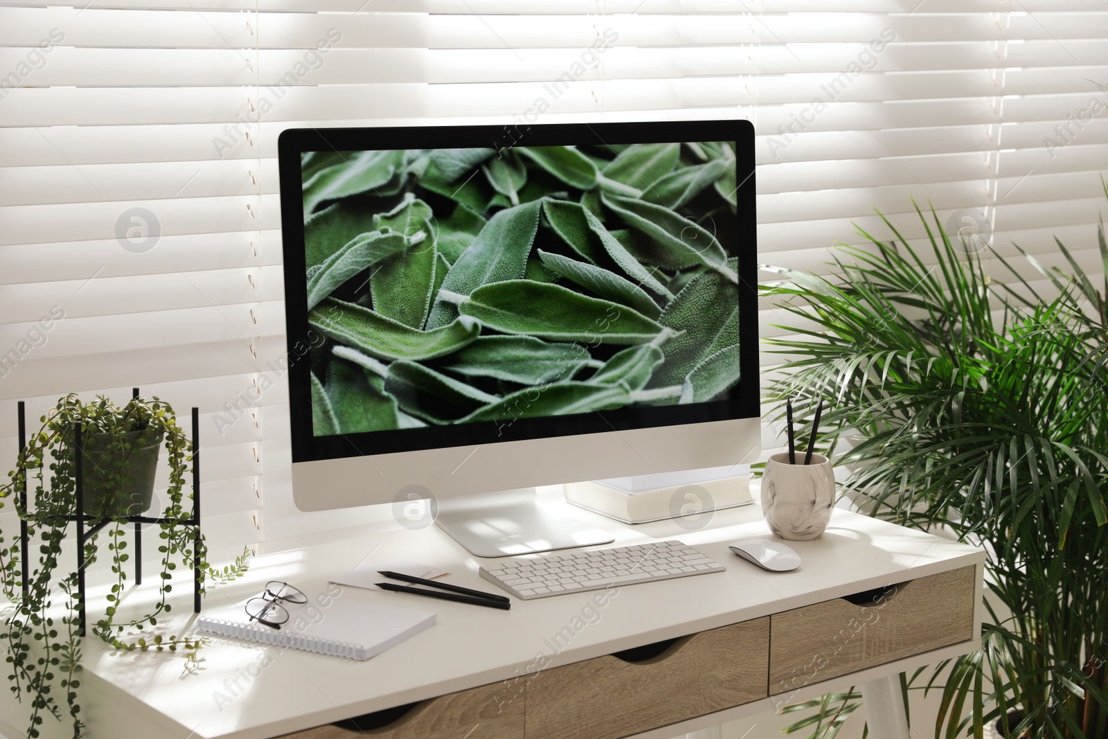 Photo of Comfortable workplace with modern computer and green plants in room. Interior design