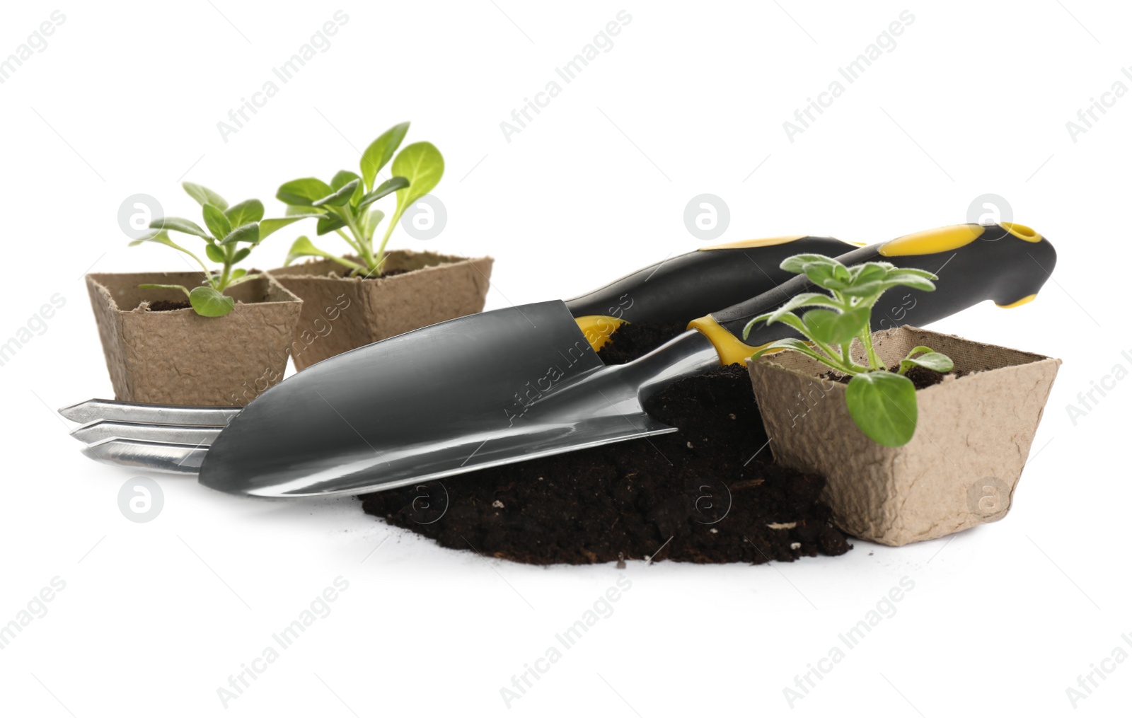 Photo of Different modern gardening tools on white background