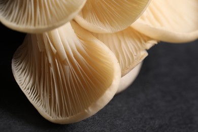 Fresh oyster mushrooms on black background, macro view