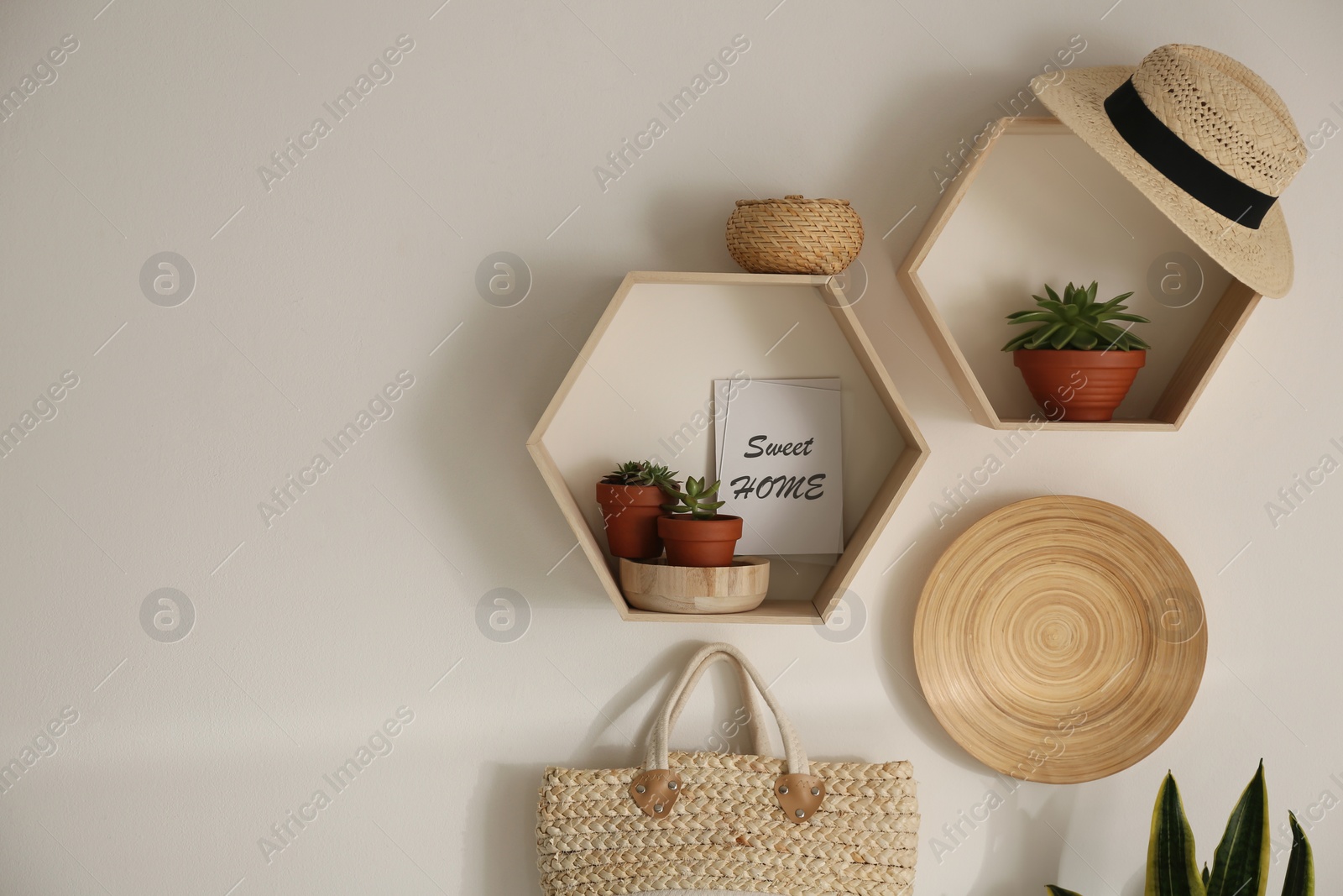 Photo of Hexagon wooden shelves with beautiful plants and accessories on light wall. Space for text