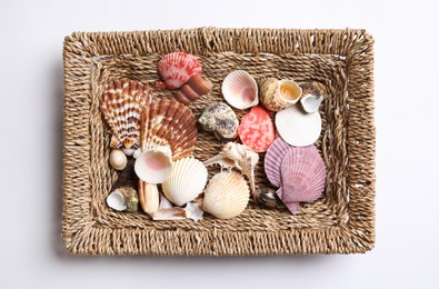 Photo of Set of different sea shells isolated on white, top view. Montessori toy
