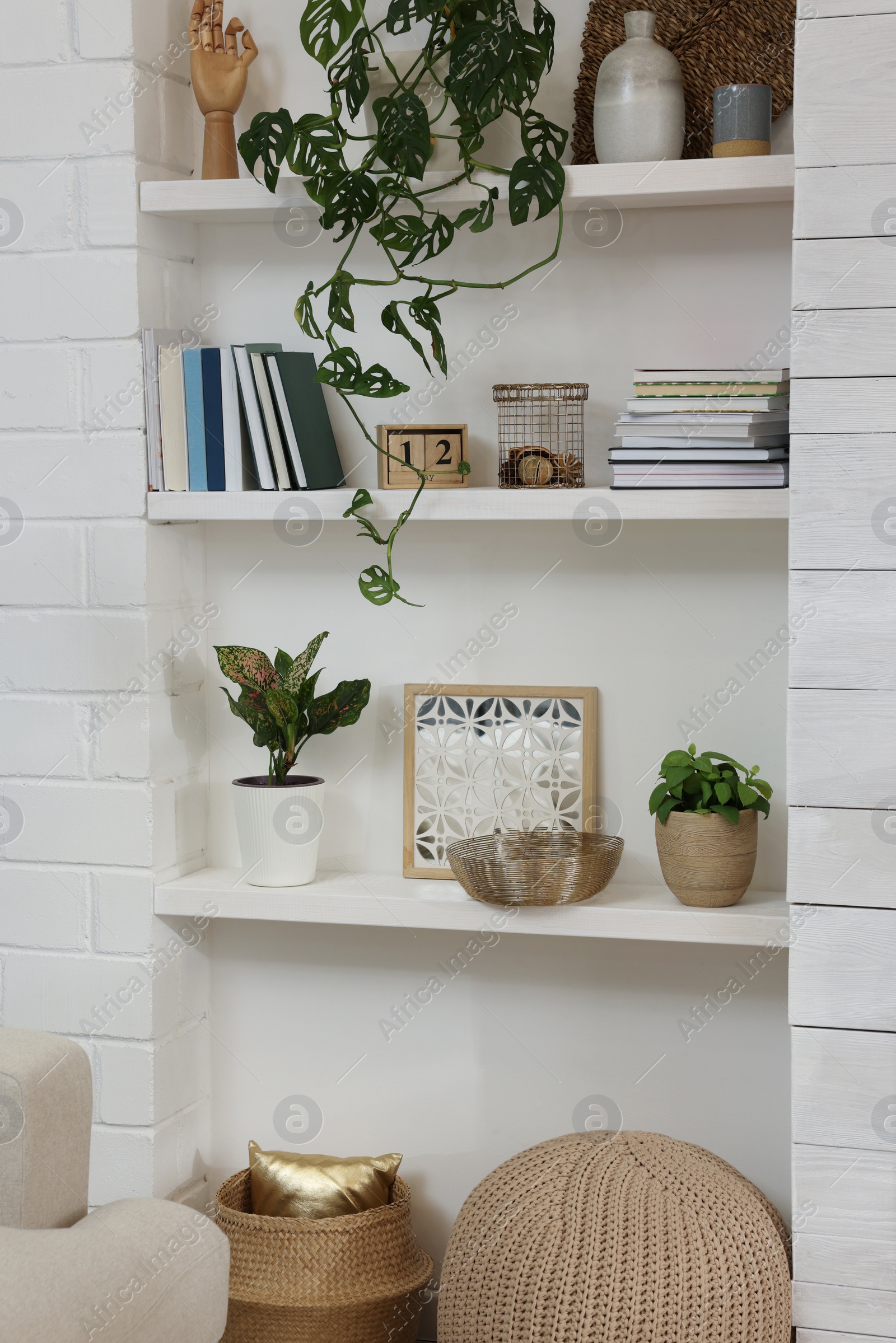 Photo of Beautiful green plants and different decor on shelves indoors. Interior design