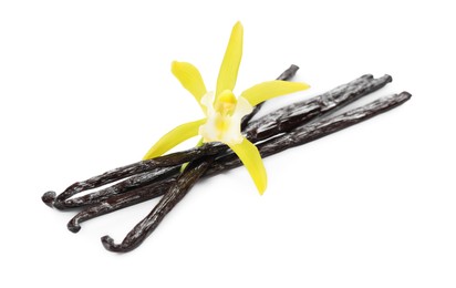 Photo of Vanilla pods and beautiful flower isolated on white