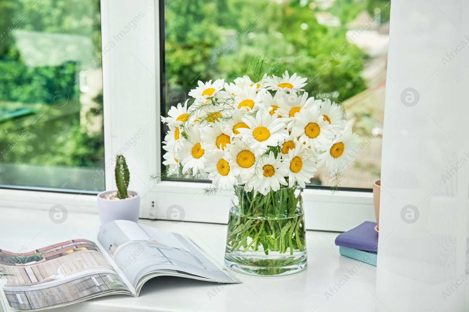 Photo of Vase with beautiful chamomile flowers on windowsill