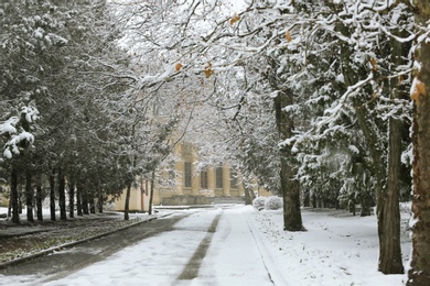 Beautiful view of city street covered with snow in winter