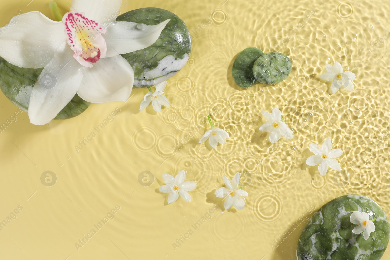 Photo of Beautiful flowers and spa stones in water on pale yellow background, top view