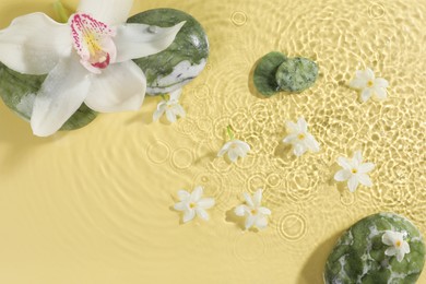 Photo of Beautiful flowers and spa stones in water on pale yellow background, top view