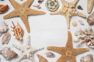 Photo of Frame of sea shells and starfishes on white wooden background, flat lay. Space for text