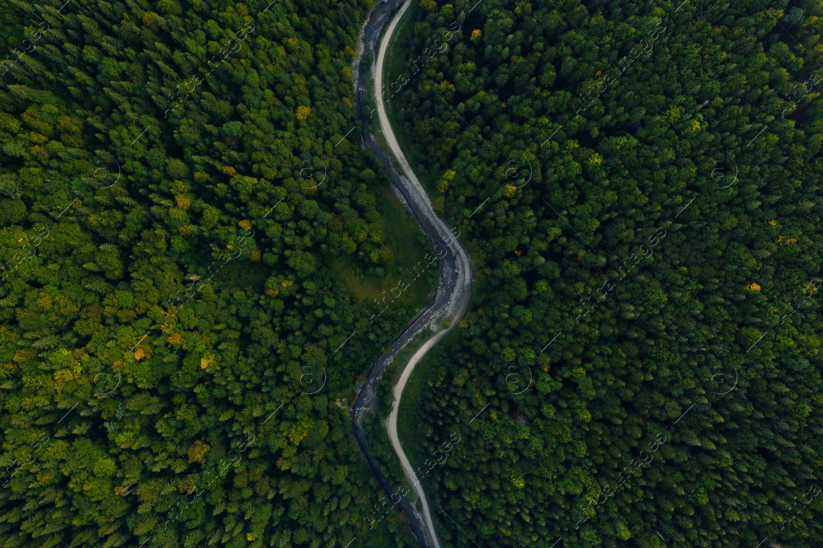 Image of Aerial view of asphalt road surrounded by forest with beautiful green trees