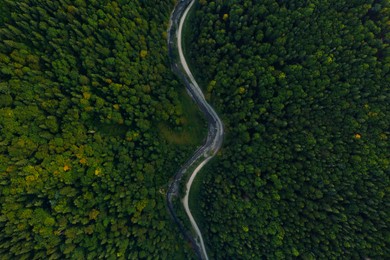 Aerial view of asphalt road surrounded by forest with beautiful green trees