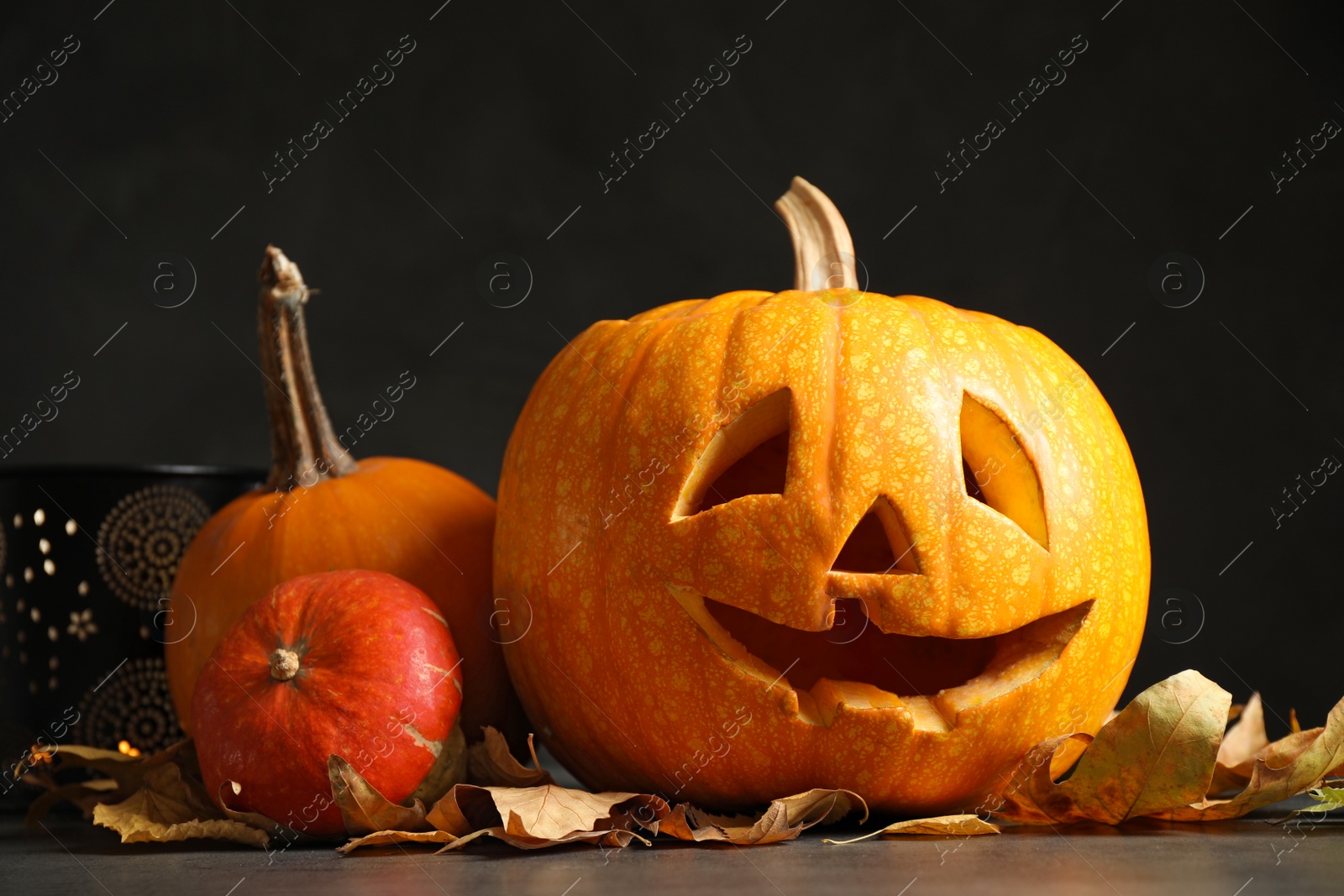Photo of Composition with pumpkin head on dark background. Jack lantern - traditional Halloween decor