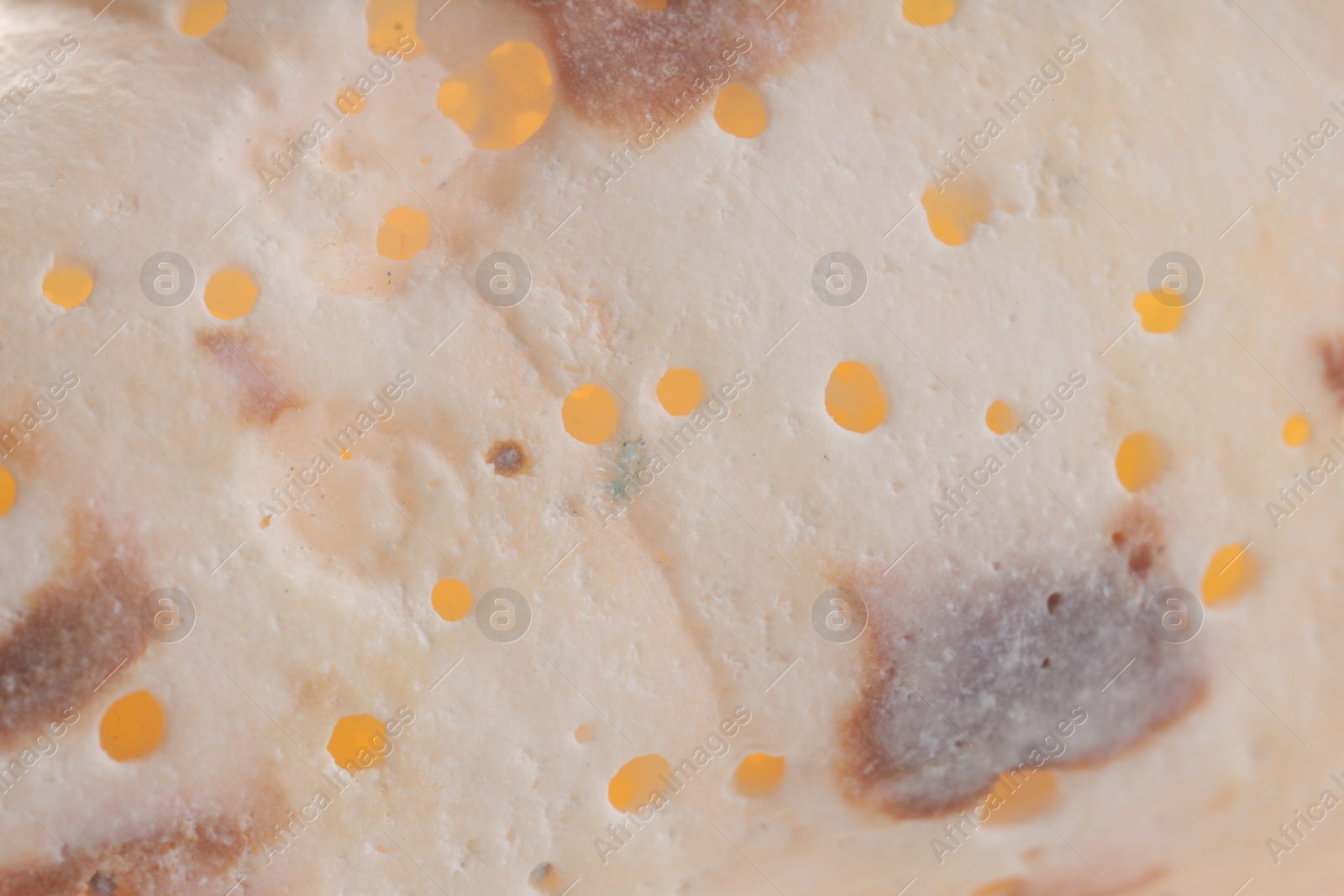 Photo of Texture of seashell as background, closeup view