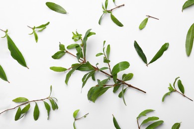 Pomegranate branches with green leaves on white background, flat lay