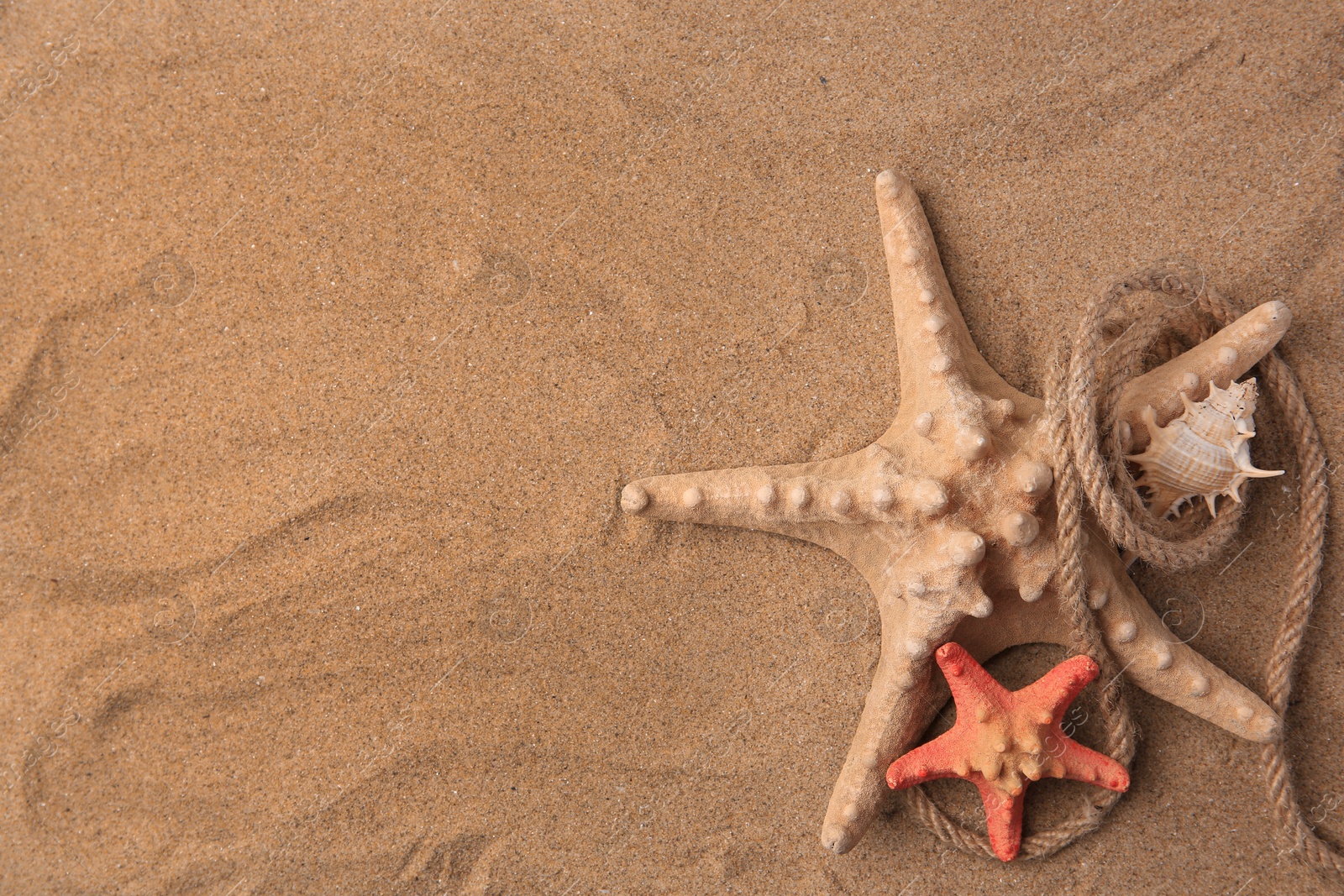 Photo of Beautiful starfishes, sea shell and rope on sand, flat lay. Space for text