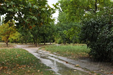 Photo of Beautiful view of trees in park during rain