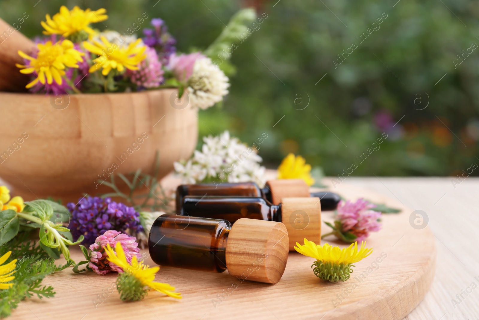 Photo of Bottles of essential oil, flowers and herbs on white wooden table, closeup. Space for text