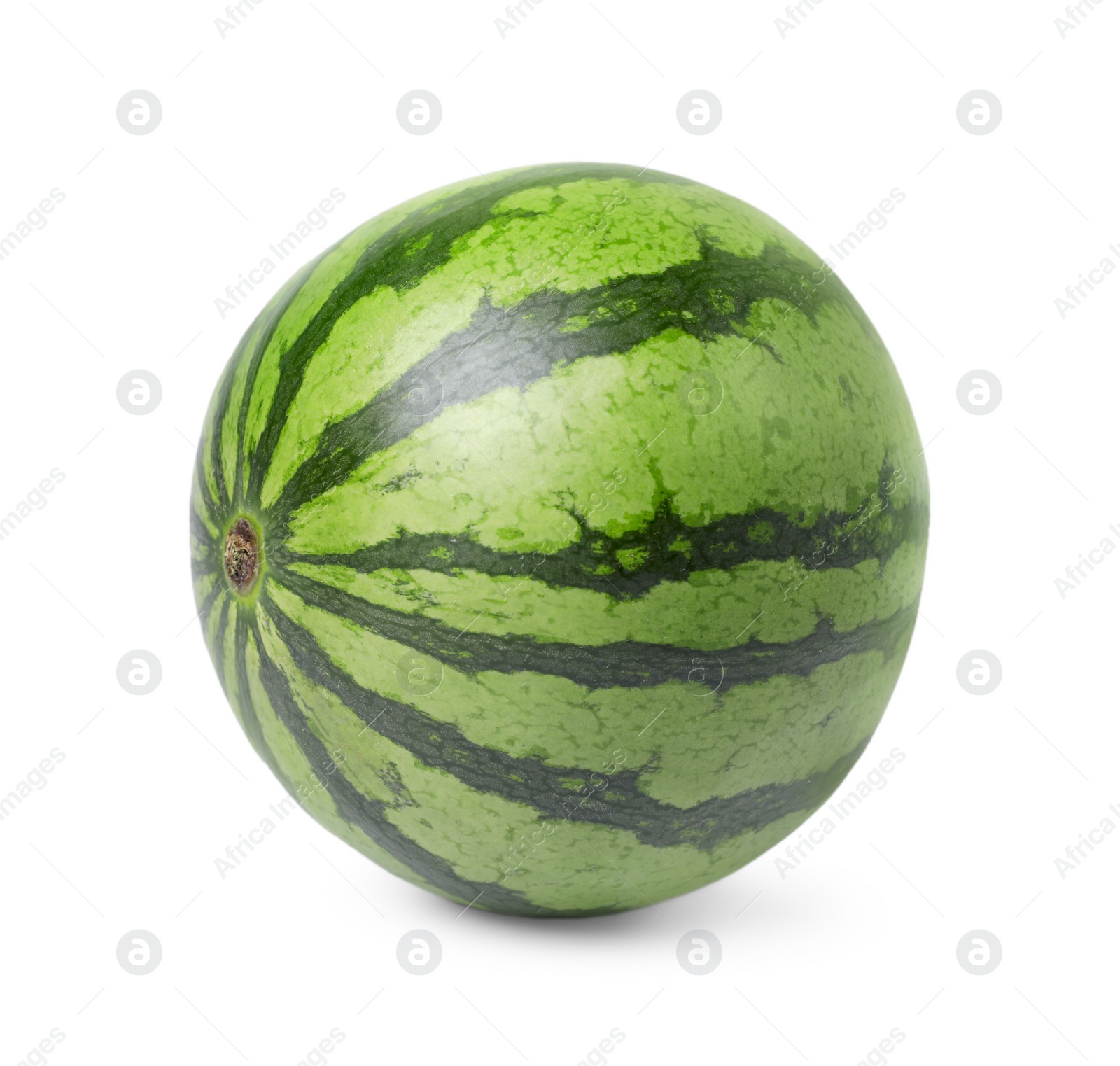 Photo of One whole ripe watermelon isolated on white