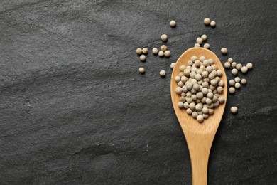 Photo of Aromatic spice. White pepper in spoon on black table, top view. Space for text