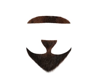 Image of Stylish beard on white background. Men's fashion