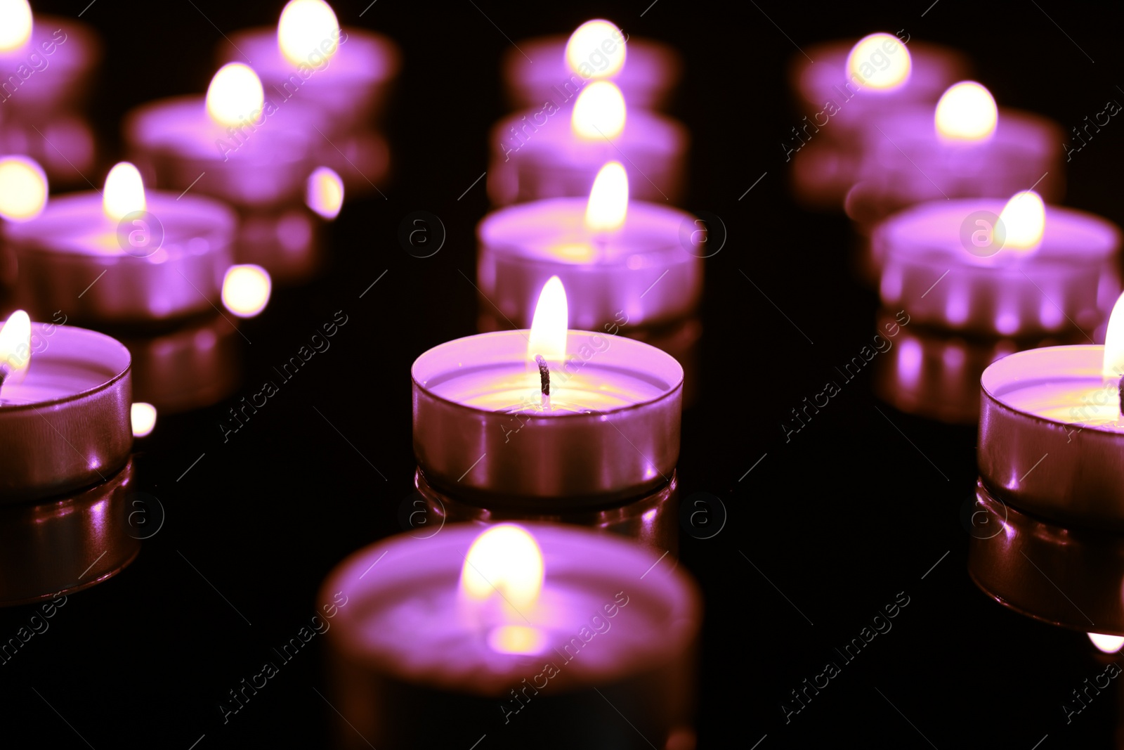 Image of Beautiful burning violet candles on black background. Funeral attributes