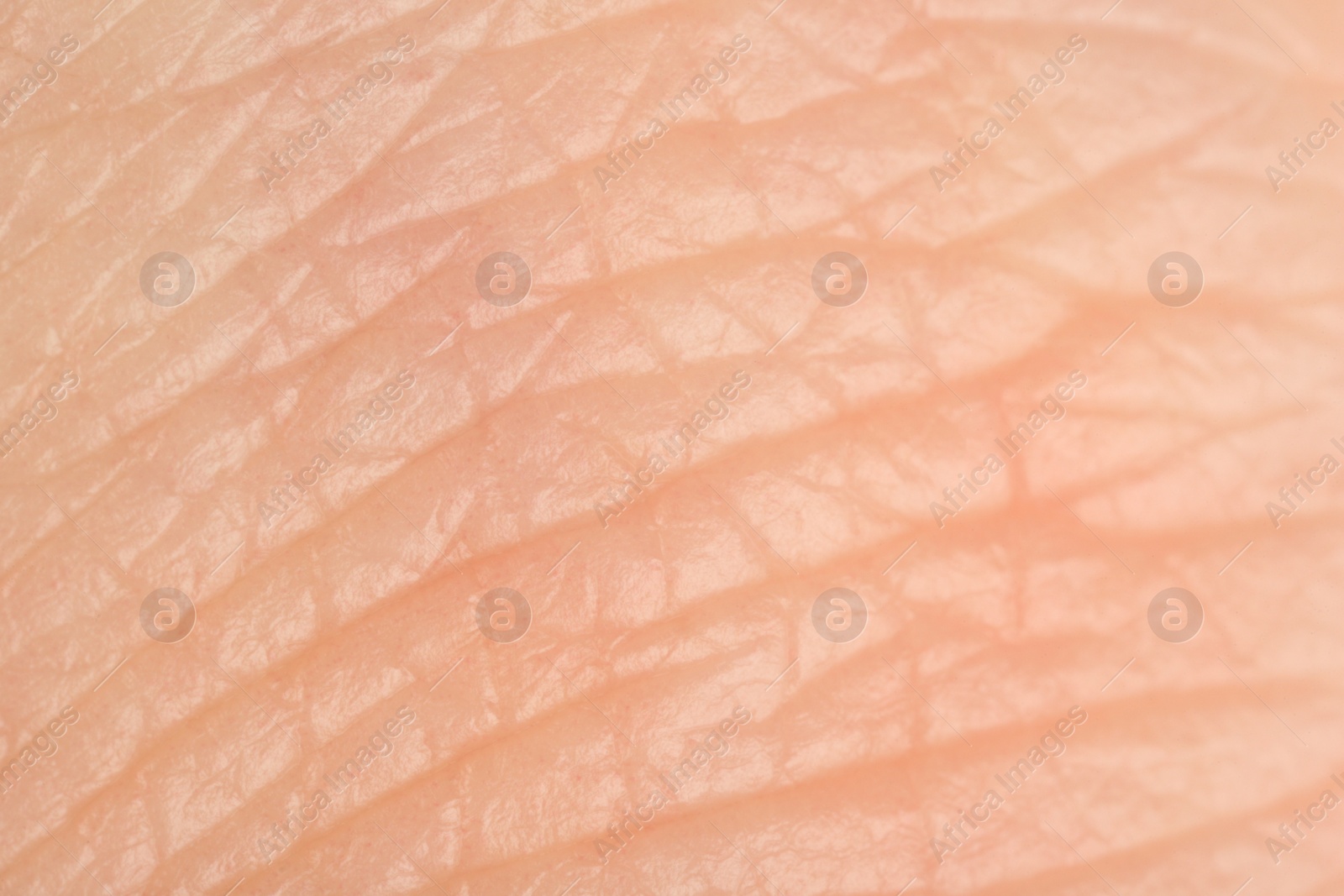 Photo of Texture of healthy skin as background, macro view