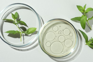 Flat lay composition with Petri dishes and plants on light grey background