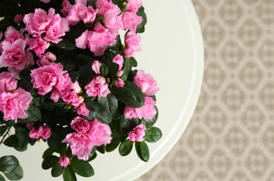 Photo of Beautiful Azalea flower in plant pot on table indoors, above view and space for text. House decor