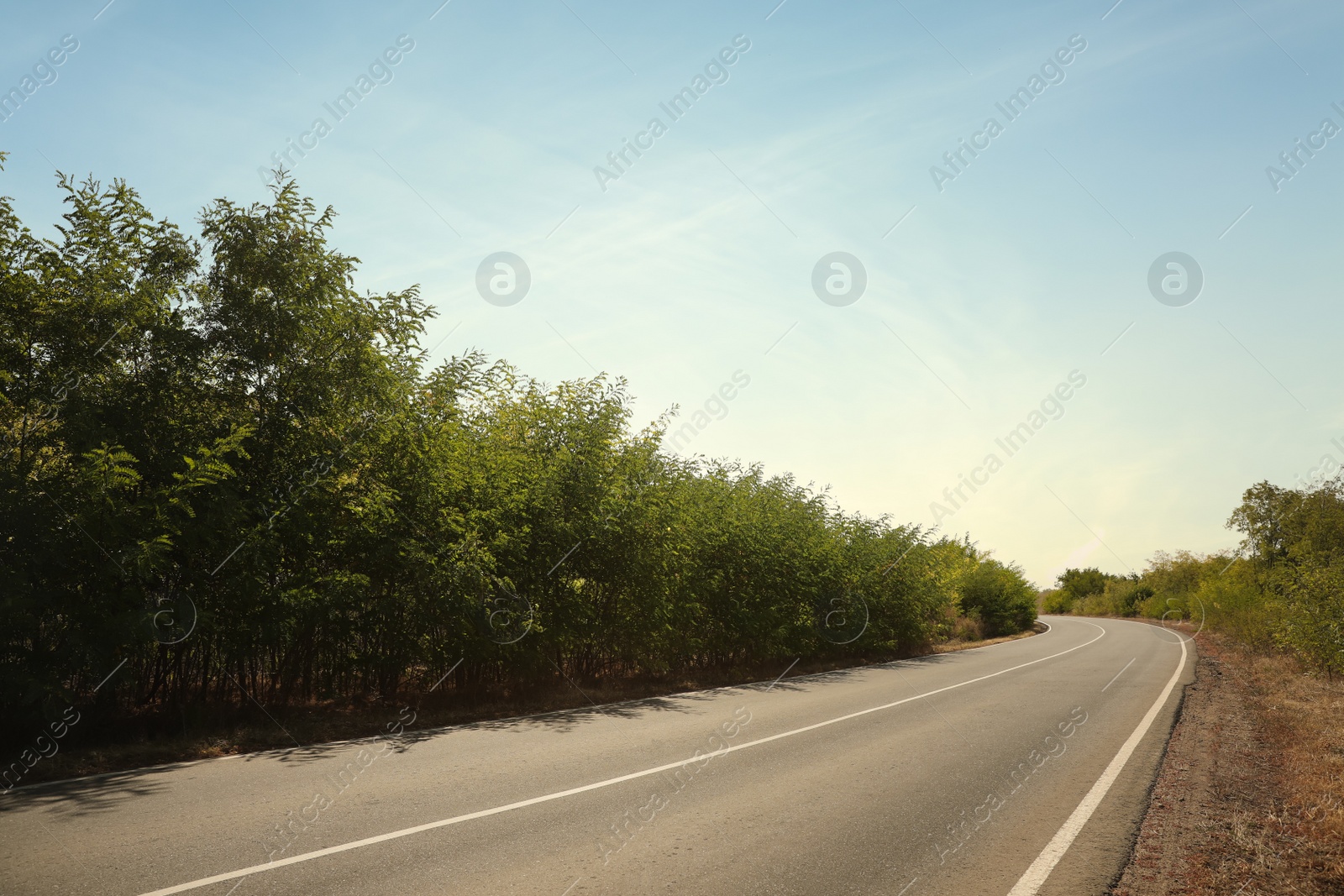 Photo of Beautiful view of empty asphalt highway. Road trip