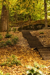 Photo of Beautiful view of park with trees and stairs on autumn day