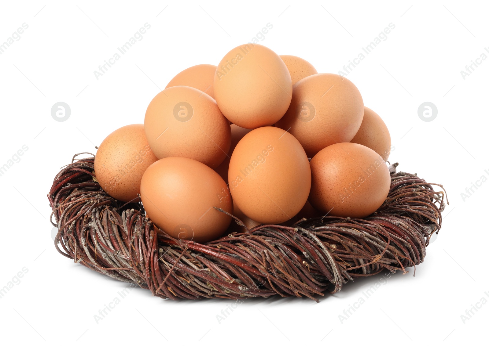 Photo of Chicken eggs and nest isolated on white