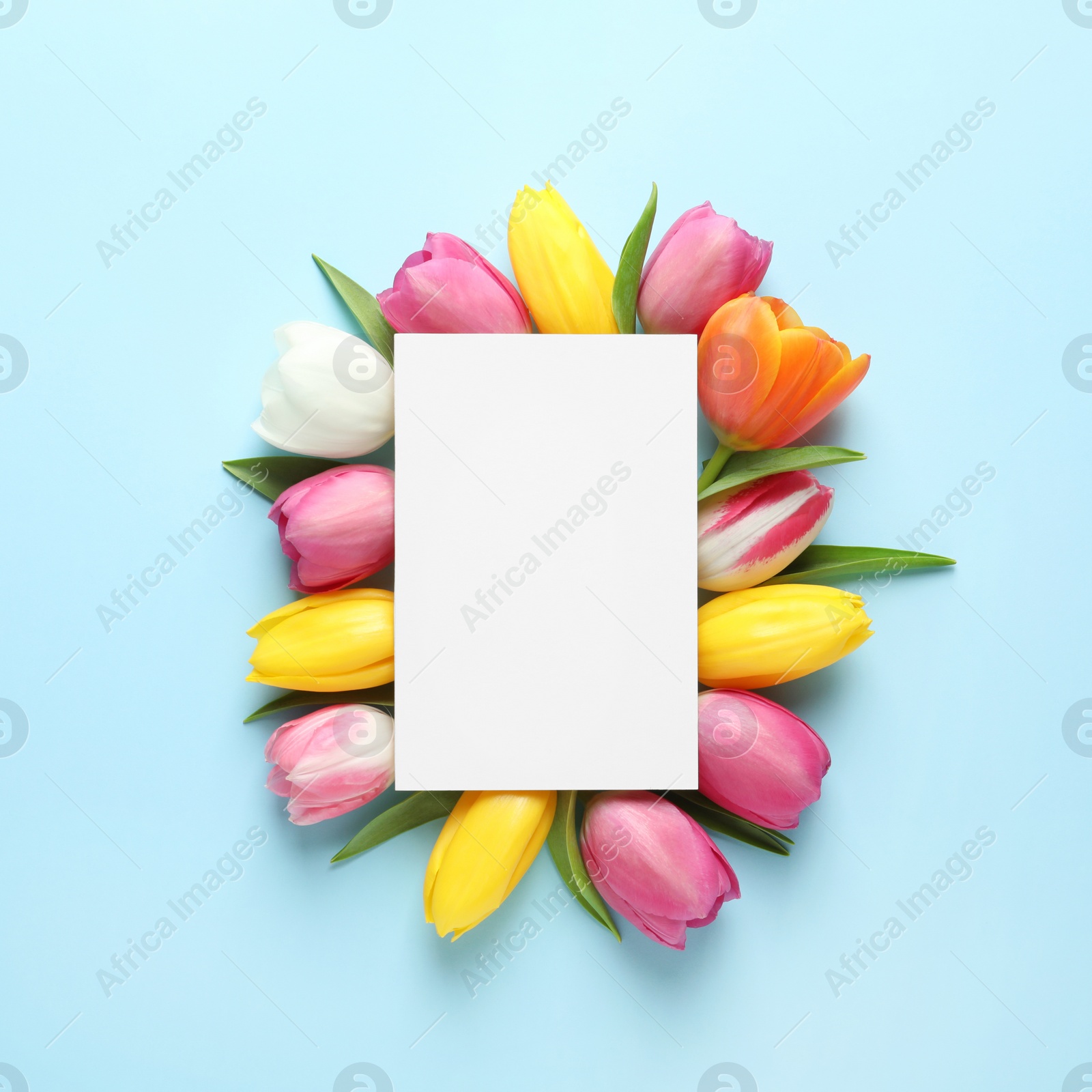 Photo of Beautiful composition with spring flowers and blank card on color background, top view. Space for text