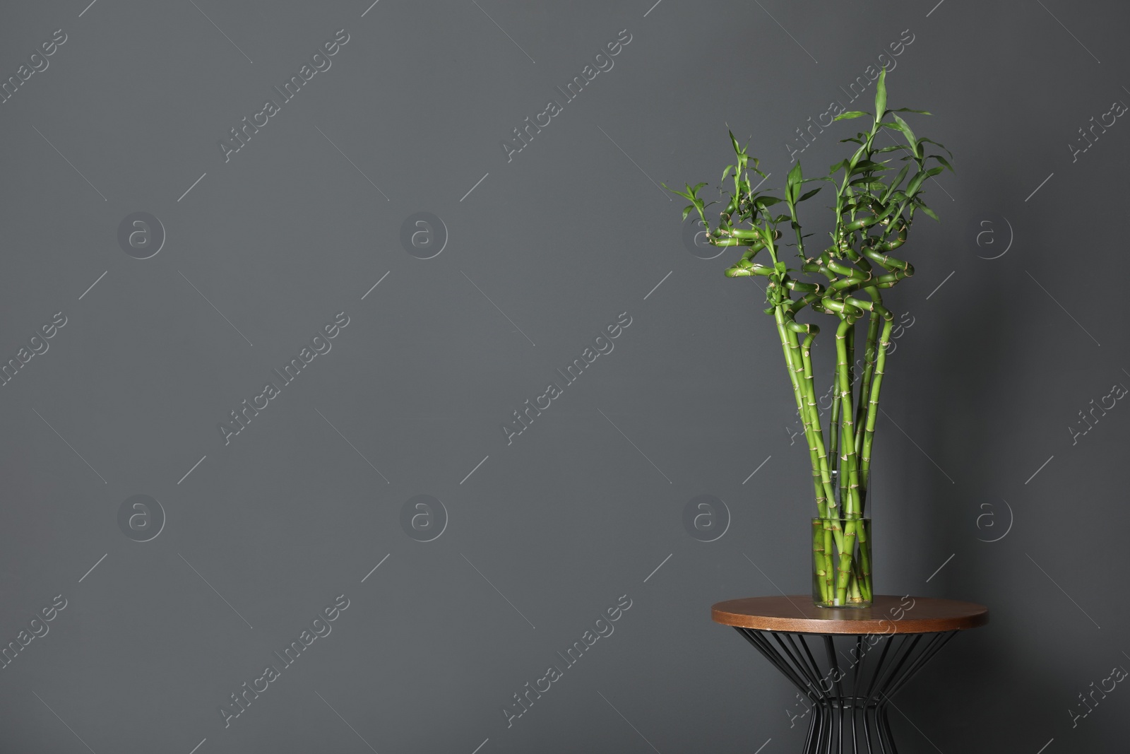Photo of Vase with bamboo stems on table against grey wall, space for text