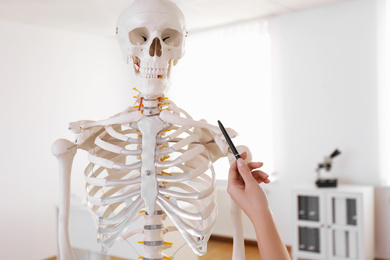 Photo of Orthopedist pointing on human skeleton model in clinic, closeup