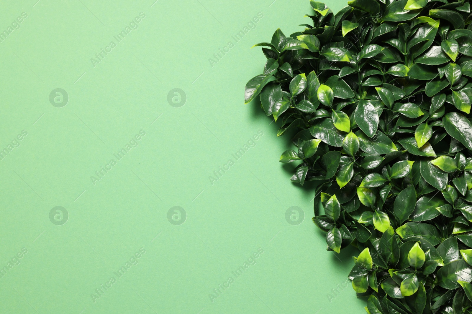 Photo of Green artificial plants on color background, top view. Space for text