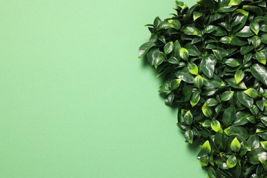 Green artificial plants on color background, top view. Space for text
