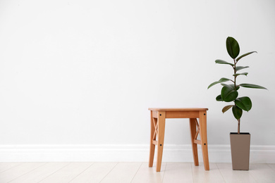 Photo of Ficus and stool near white wall, space for text. Home plants
