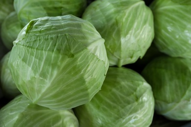 Photo of Pile of ripe green cabbages as background, closeup