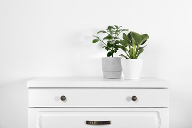 Beautiful plants in pots on white chest of drawers indoors, space for text. House decor